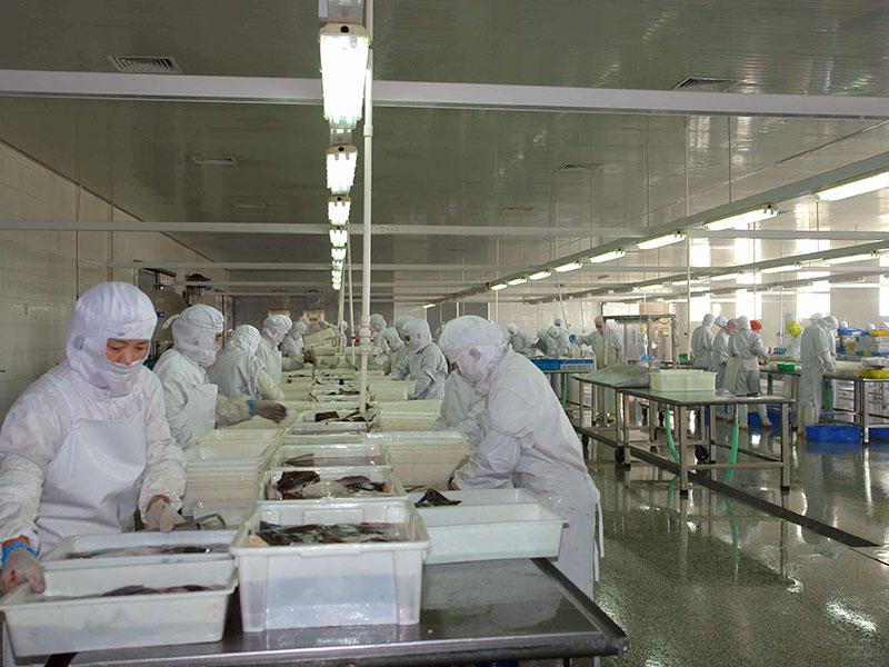 湛江食品10万级无尘车间