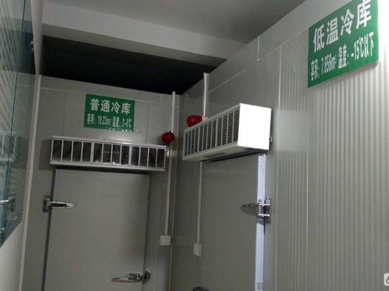 疫苗冷链医药普通冷库与低温冷库