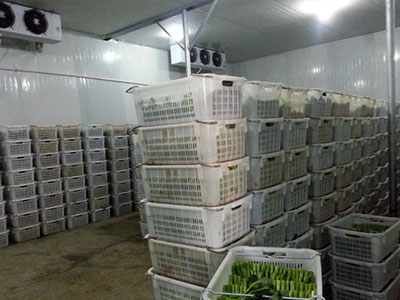 保鲜冷库制冷系统在调整前要注意事项 