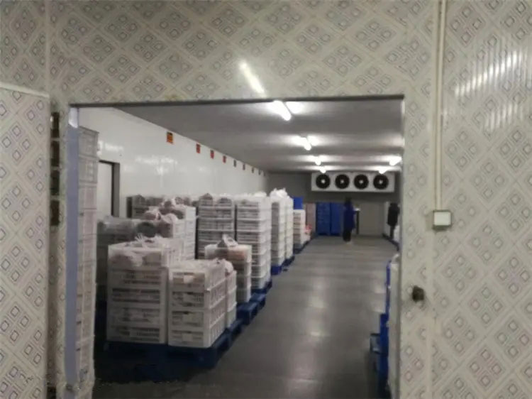 建设大型食品低温冷藏库工程安装影响费用的条件因素