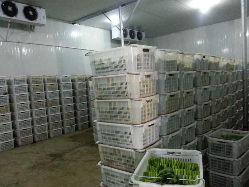 保鲜冷库 保鲜冷库